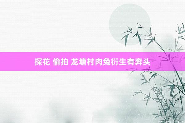 探花 偷拍 龙塘村肉兔衍生有奔头