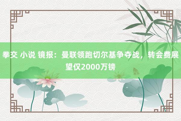 拳交 小说 镜报：曼联领跑切尔基争夺战，转会费展望仅2000万镑