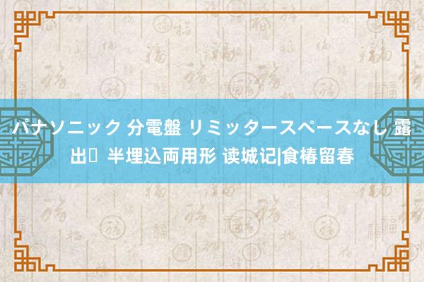 パナソニック 分電盤 リミッタースペースなし 露出・半埋込両用形 读城记|食椿留春