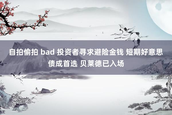 自拍偷拍 bad 投资者寻求避险金钱 短期好意思债成首选 贝莱德已入场