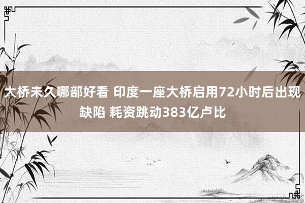 大桥未久哪部好看 印度一座大桥启用72小时后出现缺陷 耗资跳动383亿卢比