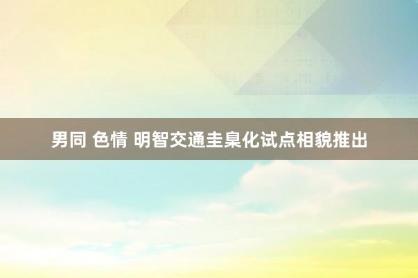 男同 色情 明智交通圭臬化试点相貌推出