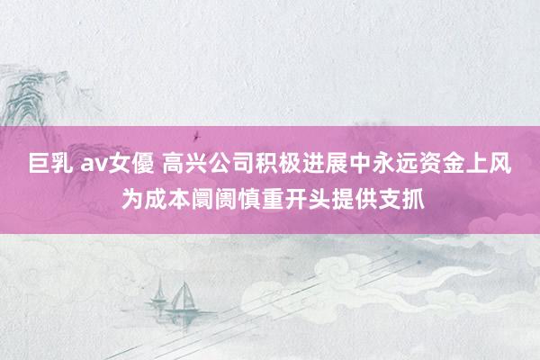 巨乳 av女優 高兴公司积极进展中永远资金上风 为成本阛阓慎重开头提供支抓