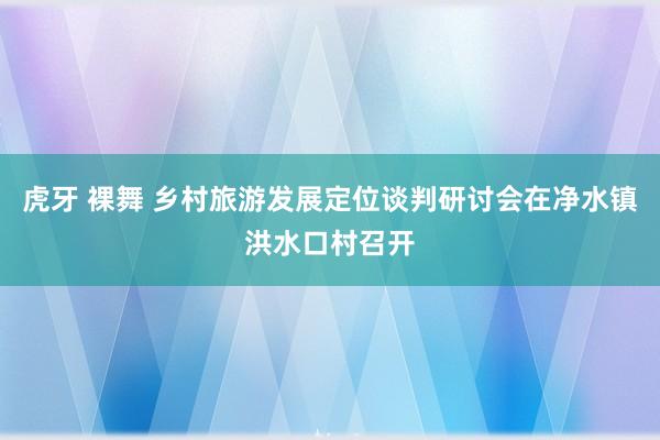虎牙 裸舞 乡村旅游发展定位谈判研讨会在净水镇洪水口村召开