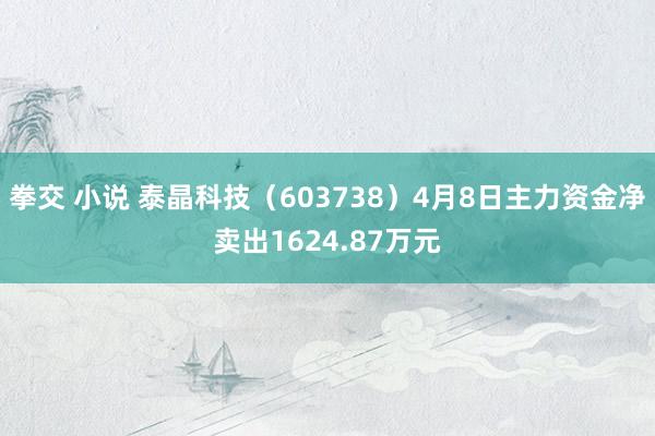 拳交 小说 泰晶科技（603738）4月8日主力资金净卖出1624.87万元