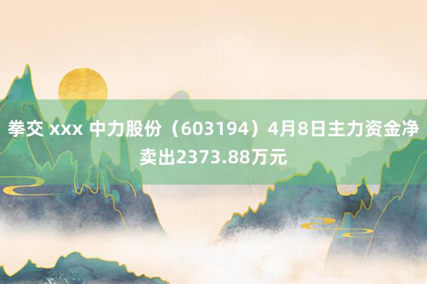 拳交 xxx 中力股份（603194）4月8日主力资金净卖出2373.88万元