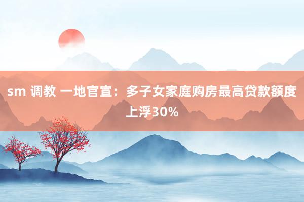sm 调教 一地官宣：多子女家庭购房最高贷款额度上浮30%