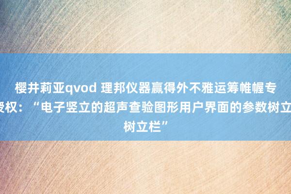 樱井莉亚qvod 理邦仪器赢得外不雅运筹帷幄专利授权：“电子竖立的超声查验图形用户界面的参数树立栏”