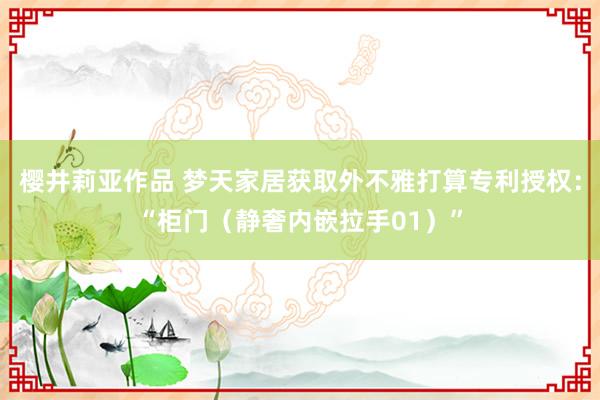樱井莉亚作品 梦天家居获取外不雅打算专利授权：“柜门（静奢内嵌拉手01）”
