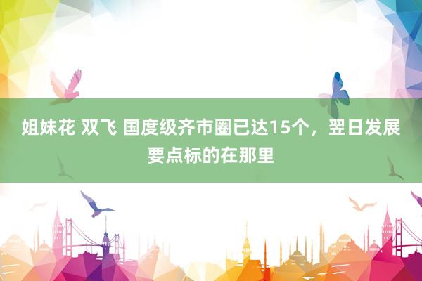 姐妹花 双飞 国度级齐市圈已达15个，翌日发展要点标的在那里