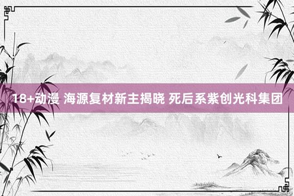 18+动漫 海源复材新主揭晓 死后系紫创光科集团