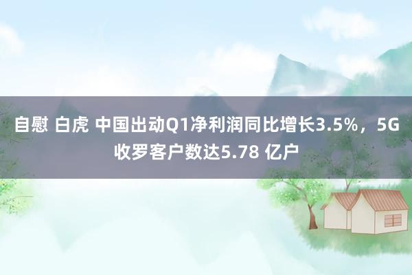 自慰 白虎 中国出动Q1净利润同比增长3.5%，5G收罗客户数达5.78 亿户