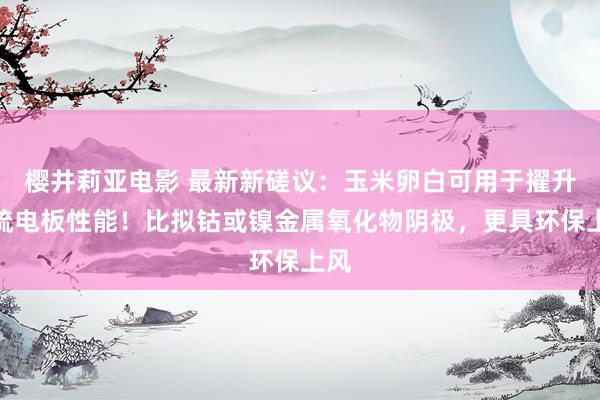 樱井莉亚电影 最新新磋议：玉米卵白可用于擢升锂硫电板性能！比拟钴或镍金属氧化物阴极，更具环保上风